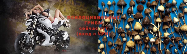 mdma Пересвет