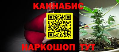 спиды Сланцы