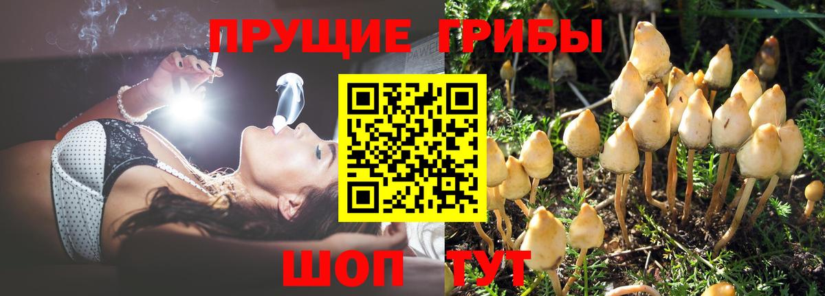 Алапаевск  Псилоцибиновые грибы ЛСД  Псилоцибиновые грибы Magic Shrooms  Вход с VPN 